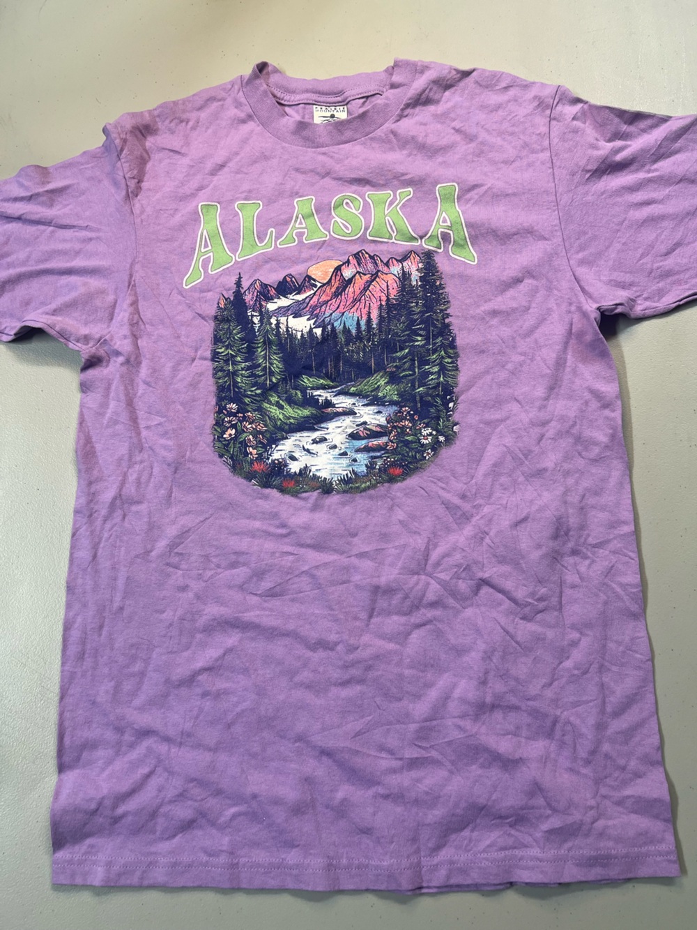 Alaska Scenic Nature Graphic T-Shirt Purple Cotton Adult Medium